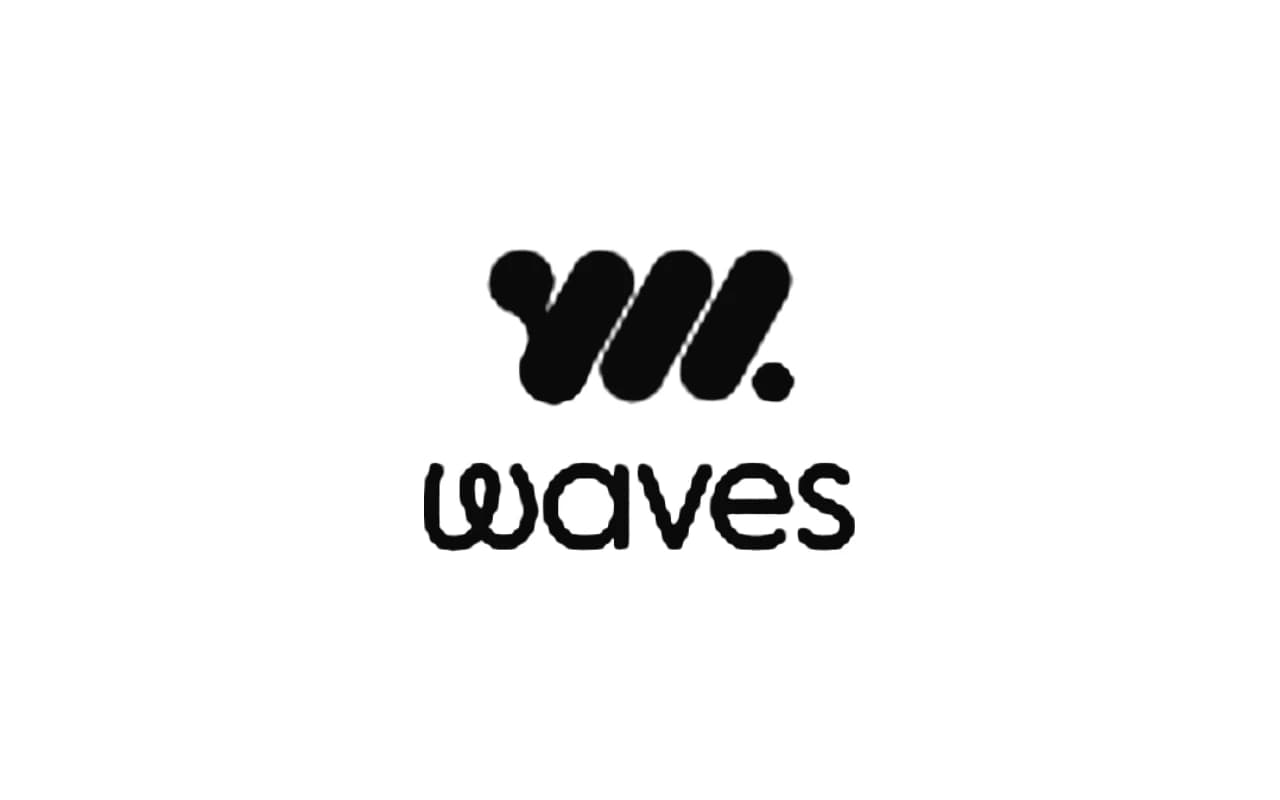 Waves Software logo